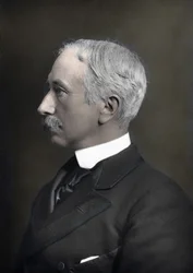 Porträtt av Marechal Viscount Garnet Joseph Wolseley (1833-1913), överbefälhavare för den brittiska armén