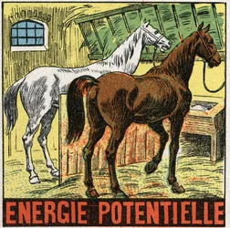 Potentiell energi: hästar som vilar i ett stall. Anonym illustration från 1925. Privat samling.