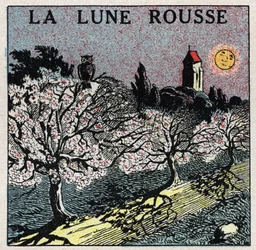 Strålning och konduktivitet: den röda månen vars ljus bränner blomknopparna. Anonym illustration från 1925. Privat samling.
