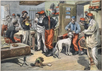 Återvänder från Afrika av den franska arméns soldater som skickas till Tunisien. Gravyr från tidningen "" Le Petité Parisien"", 1908-06-07. Privat samling.