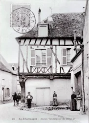 Utsikt över Henri IV:s vingård i staden Ay Champagne i Marne - Fotografi från början av 1900-talet - Privat samling