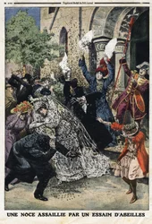 Wedding attackerades av en binsvärm. Gravyr i "" Le Petite Journal"", den 28/07/1912. Privat samling.