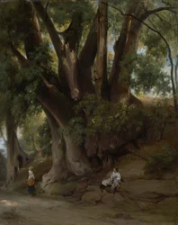 Italian Treescape (Road at Albano)