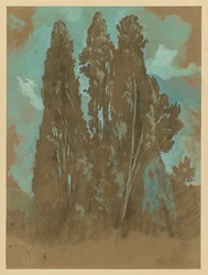 Cypress-studie