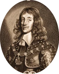Anselmus-van-Hulle-Men-illustres (beskuren)