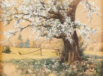 Antal Neogrády Blommande träd