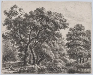Ankjägaren, 1600-talet.