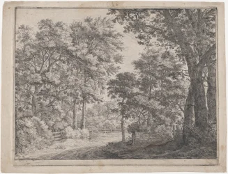 The Trimmed Groves, 1600-talet.