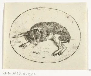 liggande hund