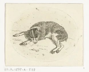 liggande hund