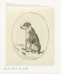 sittande hund