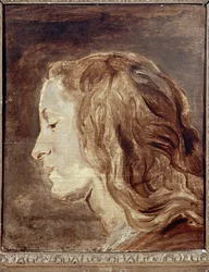 Head Study, första hälften av 1600-talet (olja ombord)