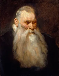 Studiehuvud för en gammal man med vitt skägg, ca. 1617-20.