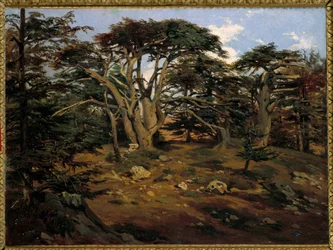 De gamla cedrarna på Libanonberget vid Boumana Målning av Antoine Alphonse Montfort (1802-1884) 1800-talets sön. 0,32x0,44 m Paris, Orsay-museet