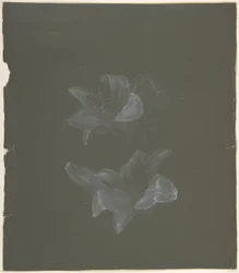 Blommig design