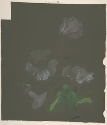 Blommig design