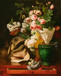 Stilleben med blommor, snäckor, ett hajhuvud och förstenningar