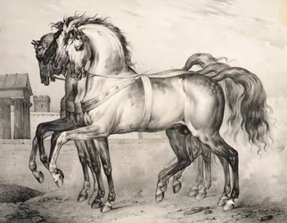 Hästarna riden av Louis Philippe, hertigen av Orleans i slaget vid Valmy, graverade av Victor Adam (1801-66) c.1834-38 (litho)
