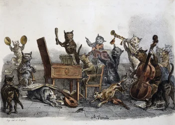 En amatörkonsert, karikatyr av katter som spelar musikinstrument, gravyr av Carle Vernet (1758-1836), Frankrike