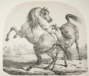 Vilda hästar som slåss, ca 1820