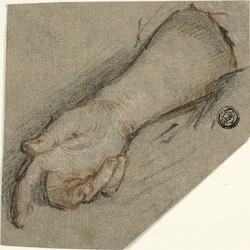Handrygg och underarm