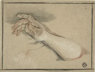 Hand och underarm