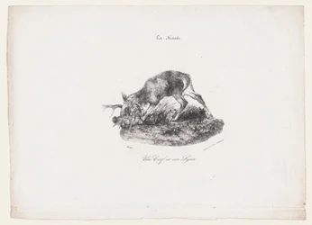 Ett rådjur och ett lodjur, 1834.