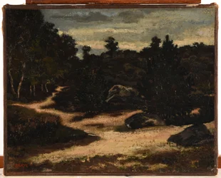 Franska: Chemin sableux en forêt de Fontainebleau