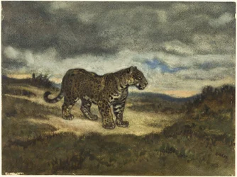 Jaguar stående