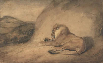 Lejonhvilar, 1810-75.
