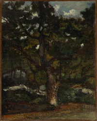Lott i skogen Fontainebleau