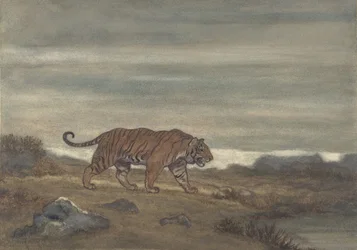 Tigern närmar sig poolen, 1810-75.