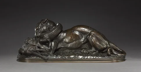 Tiger som slukar en gavial, 1831
