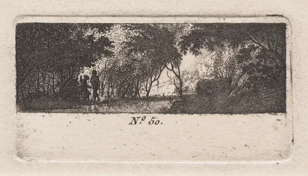 Utsikt över en skog
