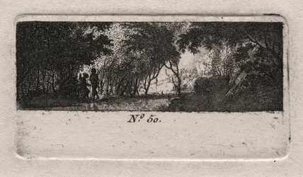 Utsikt över en skog.