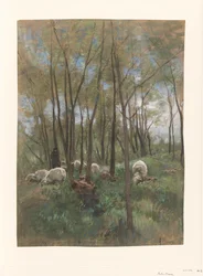 Får flockar i en skog