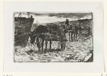 Bilar på stranden