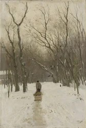 Vinter i Scheveningen-skogen