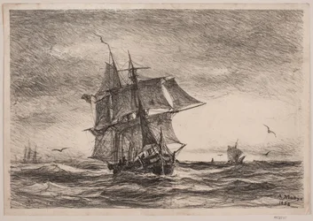 Marin