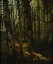 Skogsröjning