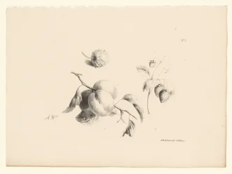 Aprikoser och jordgubbar Blommor och frukter (serietitel)