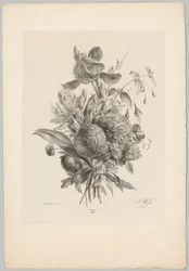 Nejlikor och liljor Flower and Fruit Studies (...) 10:e avsnittet (serietitel)