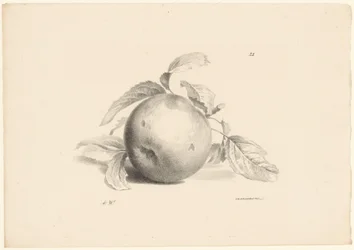 Appel Frukt (serietitel)