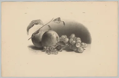 Äpplen, bär, björnbär och vindruvor Flower and Fruit Studies (...) 3:e avsnittet (serietitel)