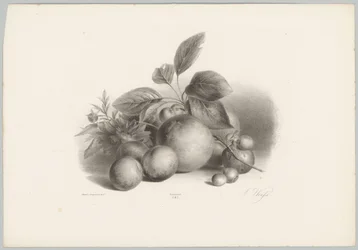 Blommor, nektariner och hasselnötter Flower and Fruit Studies (...) 10:e avsnittet (serietitel)