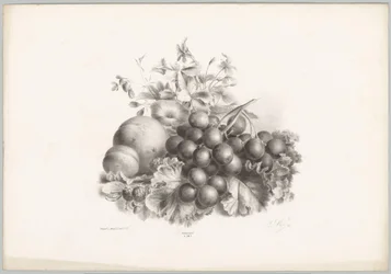 Blommor, persika, nektarin, vindruvor och björnbär Flower and Fruit Studies (...) 10:e avsnittet (serietitel)