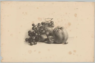 Vindruvor och äpplen Flower and Fruit Studies (...) 3:e avsnittet (serietitel)