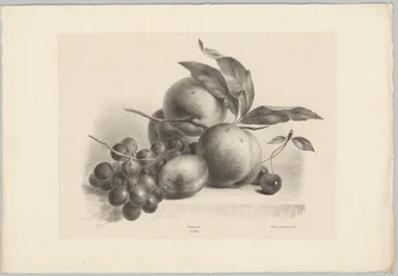 Vindruvor, plommon, persikor och körsbär Flower and Fruit Studies (...) 10:e avsnittet (serietitel)
