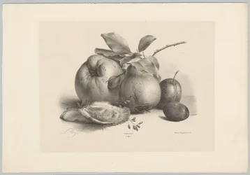 Frukt, plommon och ostron Flower and Fruit Studies (...) 10:e avsnittet (serietitel)