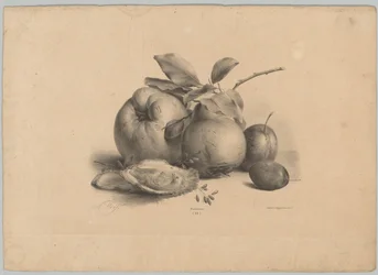 Frukt, plommon och ostron Flower and Fruit Studies (...) 10:e avsnittet (serietitel)